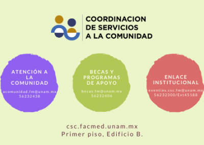 Becas y Programas de Apoyo